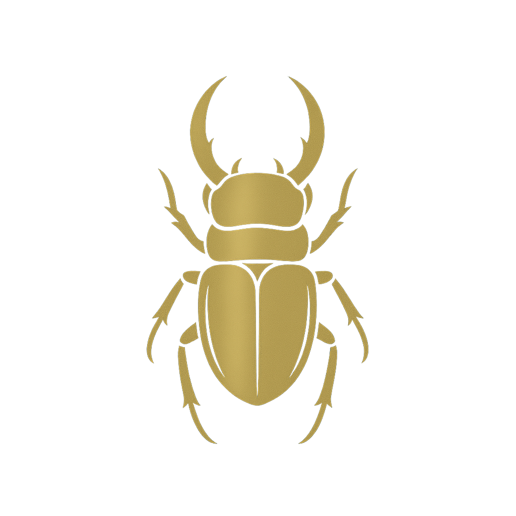 BeetleBox Intro Logo